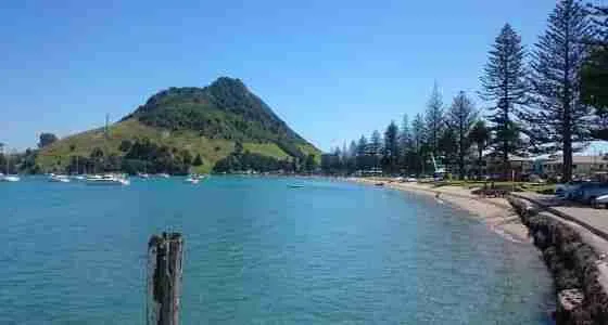 Swimming at pilot bay