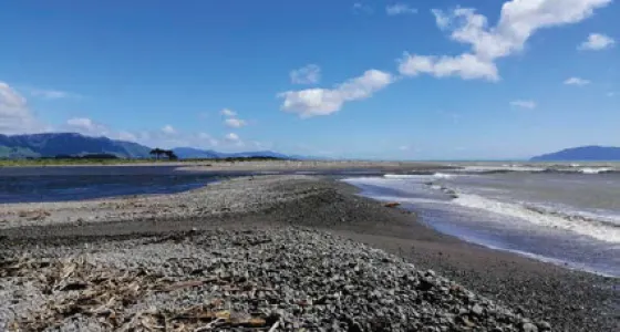 otaki river mouth