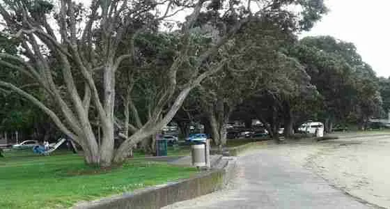 windsor reserve footpath beach